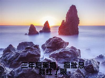 三年后离婚，疯批总裁红了眼小说全文大结局-三年后离婚，疯批总裁红了眼（苏落璃霍冥）小说全文免费阅读