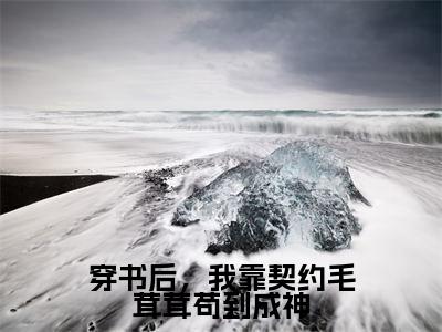 抖音高赞小说穿书后,我靠契约毛茸茸苟到成神在线阅读时鸢新上现代言情小说推荐