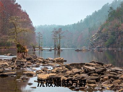 沈筱媛陆方野全集小说完整版大结局_陆方野沈筱媛完结版在线阅读
