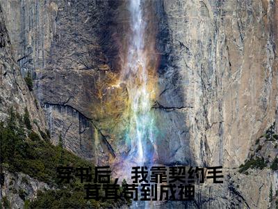 时鸢(穿书后,我靠契约毛茸茸苟到成神)全文免费阅读无弹窗大结局_时鸢最新章节列表