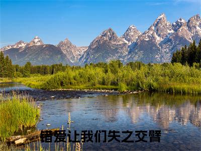 错爱让我们失之交臂高赞小说(沈轻语霍景明)完结阅读_错爱让我们失之交臂全文完整版免费阅读最新章节列表