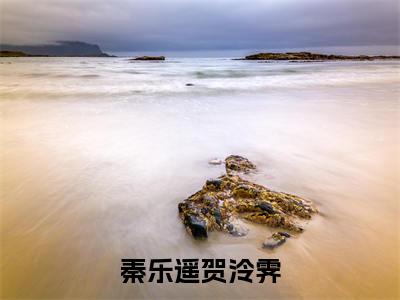 秦乐遥贺泠霁（贺泠霁秦乐遥）全文免费阅读无弹窗大结局_（贺泠霁秦乐遥）全文阅读_笔趣阁（秦乐遥贺泠霁）