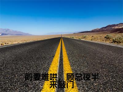 前妻难哄,顾总夜半来敲门小说全文-沈和顾言慎无弹窗免费阅读