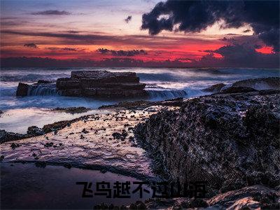 飞鸟越不过山海小说最新章节阅读飞鸟越不过山海顾洛鸢季淮之全文免费阅读最新章节大结局