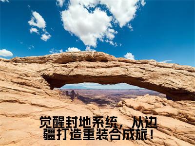 任天行(觉醒封地系统,从边疆打造重装合成旅!)全文在线阅读无弹窗大结局_(任天行在线阅读)最新章节列表_笔趣阁