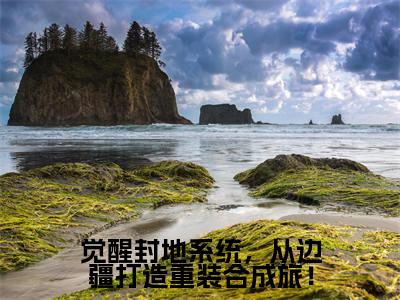 觉醒封地系统，从边疆打造重装合成旅！免费阅读无弹窗最新章节列表-（任天行）全文免费阅读大结局笔趣阁（任天行）