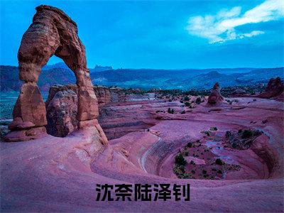 沈奈陆泽钊是什么小说-(陆泽钊沈奈)沈奈陆泽钊无弹窗免费阅读大结局最新章节列表_笔趣阁