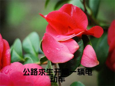 公路求生开局一辆电动车小说江离(已完结小说全集完整版大结局)公路求生开局一辆电动车小说全文阅读笔趣阁