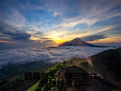 退婚当天,我三媒六聘改嫁皇叔(大结局小说全集完整版)花长乐卫承宣小说_退婚当天,我三媒六聘改嫁皇叔全文阅读笔趣阁