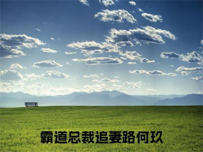 霸道总裁追妻路何玖(顾墨良何玖)全文免费阅读无弹窗大结局_霸道总裁追妻路何玖小说最新章节列表_笔趣阁