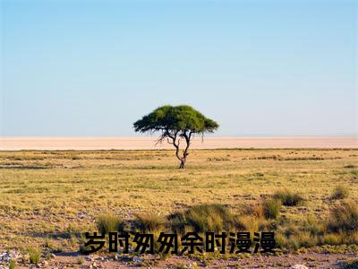 岁时匆匆余时漫漫小说(田宛白)全文免费阅读无弹窗大结局_(田宛白免费阅读)最新章节列表_笔趣阁(田宛白)