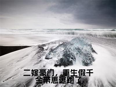 二嫁豪门,重生假千金带崽逃跑了免费阅读(夏云暖)完整版全文全章节阅读