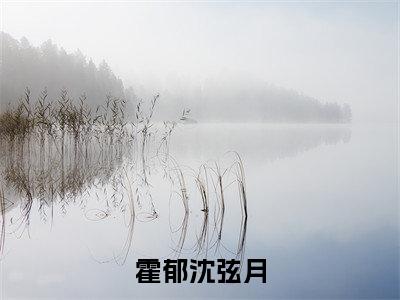 热文(霍郁沈弦月)美文阅读_热门小说霍郁沈弦月主人公是(霍郁沈弦月)完整版最新小说大结局_笔趣阁