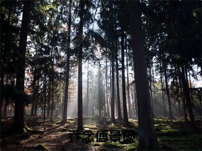 乔念傅景砚(乔念傅景砚)全文免费阅读无弹窗_(乔念傅景砚)乔念傅景砚最新章节列表