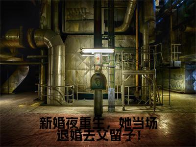 新婚夜重生,她当场退婚去父留子!薛怀安秦苏全文完整版-薛怀安秦苏小说在线阅读