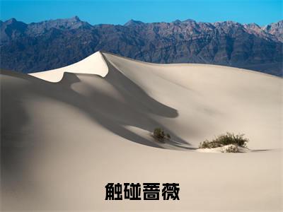 林筱帆全文免费阅读_林筱帆(触碰蔷薇)最新章节列表笔趣阁