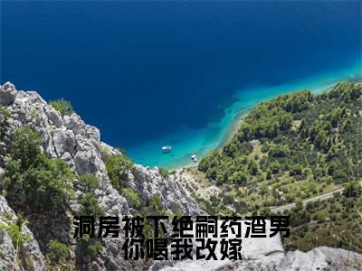 夏澜黎晏州(洞房被下绝嗣药渣男你喝我改嫁)全文免费阅读无弹窗大结局_(洞房被下绝嗣药渣男你喝我改嫁无弹窗)最新章节免费阅读_笔趣阁