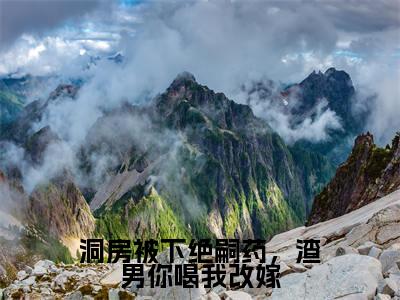 (夏澜黎晏州)全文免费阅读无弹窗大结局_洞房被下绝嗣药,渣男你喝我改嫁免费最新章节列表_笔趣阁