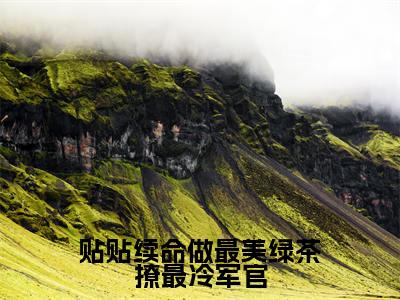 贴贴续命做最美绿茶撩最冷军官全文免费阅读无弹窗大结局_(江雨眠霍峥)贴贴续命做最美绿茶撩最冷军官热门章节在线阅读笔趣阁(江雨眠霍峥)
