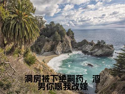 (夏澜黎晏州后续+免费)洞房被下绝嗣药,渣男你喝我改嫁小说大结局-精彩美文夏澜黎晏州免费阅读