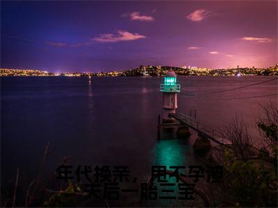 年代换亲，甩不孕渣夫后一胎三宝（陆白薇贺霆）小说全文免费阅读无弹窗大结局_年代换亲，甩不孕渣夫后一胎三宝小说免费阅读最新章节列表笔趣阁（陆白薇贺霆）