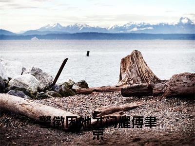 (警徽因她才闪耀傅聿京)全文免费阅读无弹窗大结局_(沈听晚傅聿京)章节列表_笔趣阁