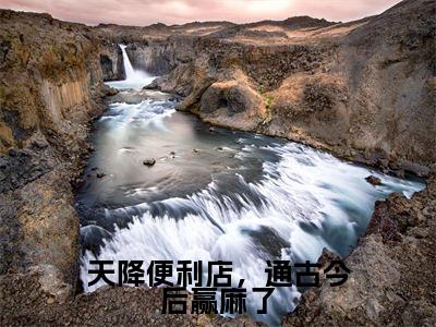 天降便利店,通古今后赢麻了(温梨沈宴清)全文免费阅读_(天降便利店,通古今后赢麻了)免费阅读无弹窗最新章节列表