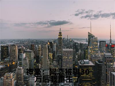 (付莺)是什么小说-神豪:网恋被骗30万后我重生了(付莺)免费阅读大结局最新章节列表_笔趣阁