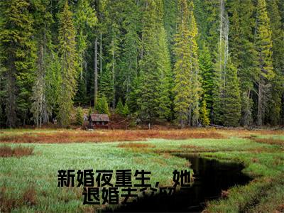新婚夜重生,她当场退婚去父留子!小说全文免费阅读无弹窗,(薛怀安秦苏)小说全文免费阅读