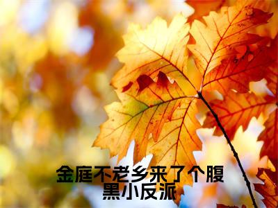 金庭不老乡来了个腹黑小反派(兰嫬)全文免费阅读无弹窗大结局_金庭不老乡来了个腹黑小反派免费阅读无弹窗