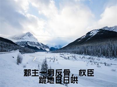 沈梦初秦昭(郡主一身反骨,权臣跪地日日哄)免费阅读无弹窗大结局-郡主一身反骨,权臣跪地日日哄(最新全章节大结局)全文阅读