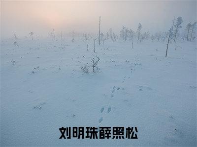 刘明珠薛照松精选小说大结局阅读_(薛照松刘明珠)刘明珠薛照松免费阅读最新章节列表