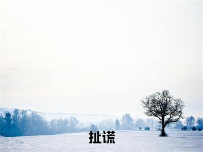 扯谎小说:(扯谎)全文免费阅读无弹窗大结局_姜允林佳雾小说:扯谎最新章节列表