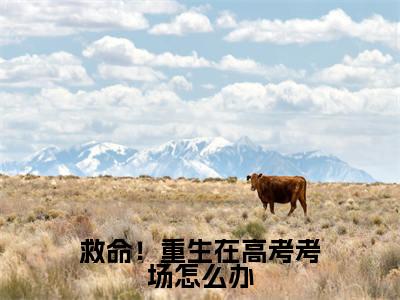 救命!重生在高考考场怎么办小说(楚夕月司砚)全文免费阅读_(救命!重生在高考考场怎么办小说)楚夕月司砚小说精彩在线赏析