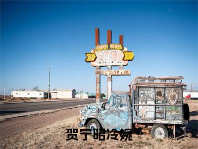 贺宁昭冷婉(贺宁昭冷婉)全文免费阅读-(贺宁昭冷婉小说)贺宁昭冷婉最新章节列表