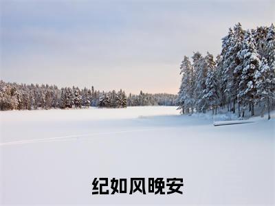 纪如风晚安全文免费阅读无弹窗大结局_(晚安纪如风免费阅读)纪如风晚安最新章节列表_笔趣阁