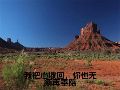 林轻轻小说全文免费阅读_林轻轻(我把心收回,你也无须再奉陪)最新章节列表笔趣阁