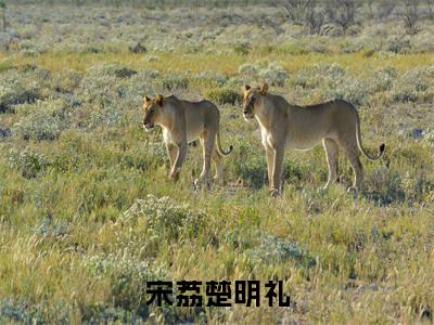 宋荔楚明礼(楚明礼宋荔)全文免费阅读无弹窗大结局_楚明礼宋荔小说最新章节列表