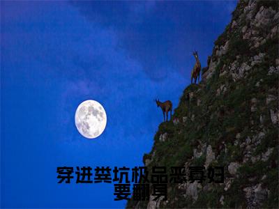 穿进粪坑极品恶寡妇要翻身(沈萍)全文免费阅读无弹窗大结局_穿进粪坑极品恶寡妇要翻身最新章节列表_笔趣阁