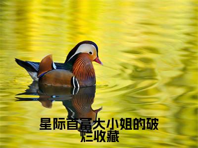 (热推新书)美文摘抄(星际首富大小姐的破烂收藏)主人公为(沈沉浮)的小说星际首富大小姐的破烂收藏大结局全文免费阅读_笔趣阁