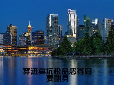 沈萍小说全文免费阅读_沈萍(穿进粪坑极品恶寡妇要翻身)最新章节列表笔趣阁