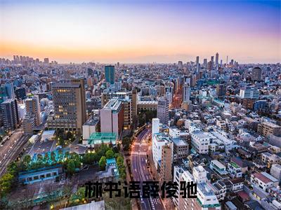 林书语薛俊驰（林书语薛俊驰）全文免费阅读无弹窗大结局_（林书语薛俊驰）林书语薛俊驰最新章节列表