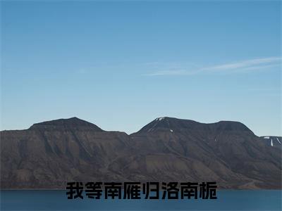 我等南雁归洛南栀小说免费阅读（靳寒声洛南栀）全文免费阅读大结局-（我等南雁归洛南栀小说免费阅读）好书推荐