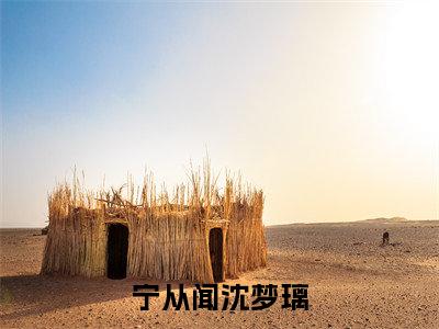 宁从闻沈梦璃小说(宁从闻沈梦璃)全文免费阅读无弹窗_宁从闻沈梦璃高赞小说免费阅读笔趣阁(宁从闻沈梦璃)