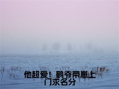 （温珩苏墨菀）是什么小说-他超爱！鹤爷带崽上门求名分（温珩苏墨菀）免费阅读大结局最新章节列表_笔趣阁
