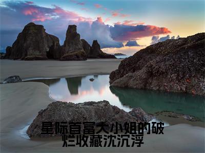 星际首富大小姐的破烂收藏沈沉浮(沈沉浮)全文免费阅读无弹窗_星际首富大小姐的破烂收藏沈沉浮全文免费阅读无弹窗最新章节列表笔趣阁
