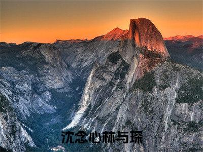 林与琛沈念心小说沈念心林与琛在哪里可以看-主角是林与琛沈念心的小说沈念心林与琛