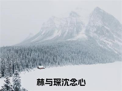 林与琛沈念心（林与琛沈念心）全文免费阅读无弹窗大结局_林与琛沈念心在线阅读笔趣阁