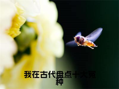 顾安在小说免费阅读无弹窗《我在古代盘点十大冤种》_我在古代盘点十大冤种全文阅读顾安在