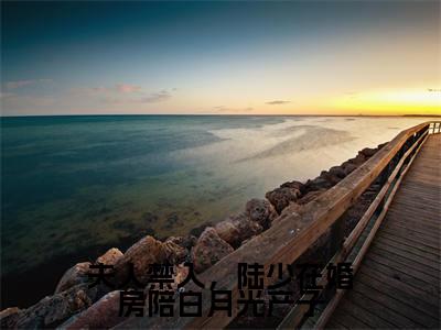 夫人禁入，陆少在婚房陪白月光产子无广告小说免费阅读，夫人禁入，陆少在婚房陪白月光产子乔茵陆一函完结小说在线阅读